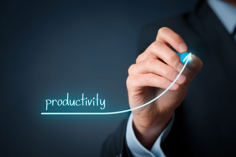 Unveiling the Dynamics of Effective Team Productivity