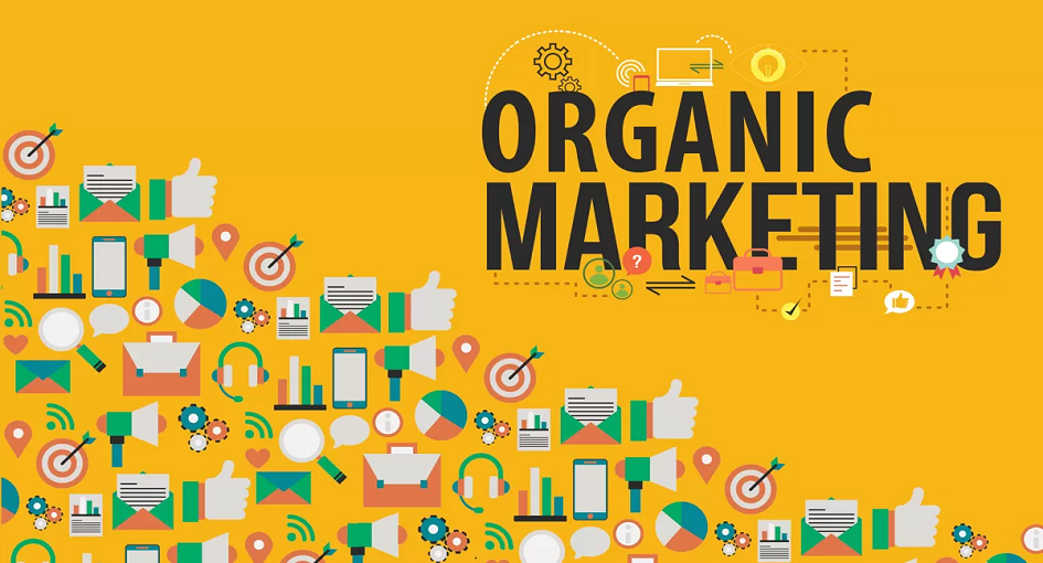 Difference Between Organic Marketing