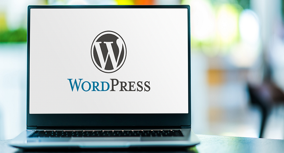 The Top 10 WordPress Site