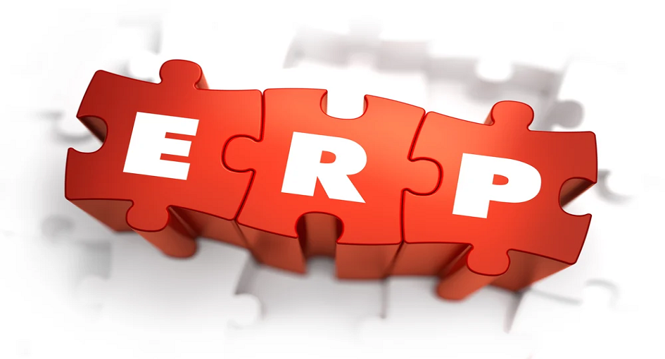 erp consulting services