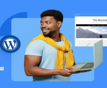 best wordpress themes