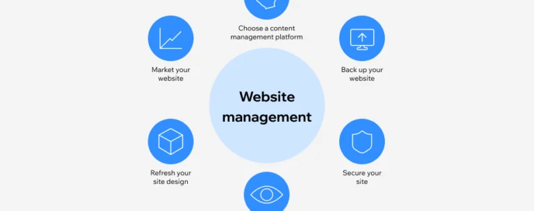 website management services