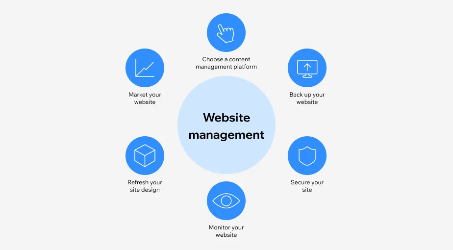 website management services