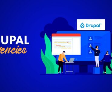 drupal development agency