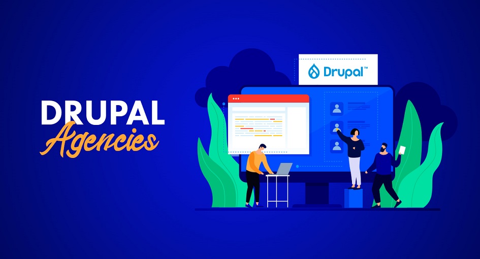 drupal development agency