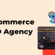 ecommerce website agency